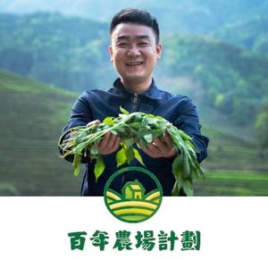 小康生活头像