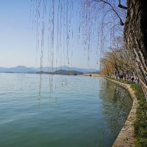 杭州赵老师头像