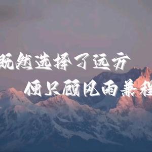 蓝风咨询工作室头像