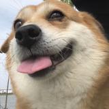 NGG哟头像