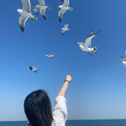 看海哪里玩得好头像