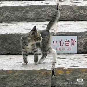 琉璃赤子之心 头像