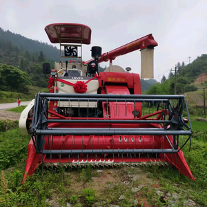 甲平老表头像