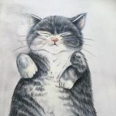 多才胖猫头像