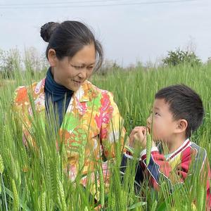 向往的田园生活1头像