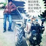优雅科迪520头像