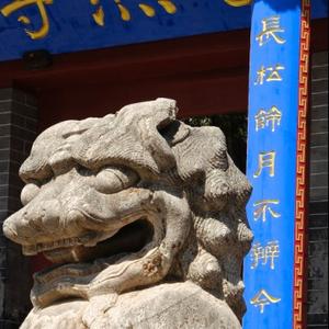 打酱油的刚哥头像