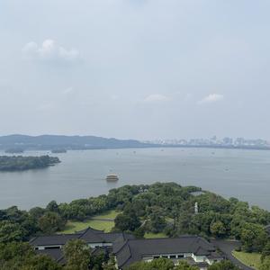 尼古追剧头像