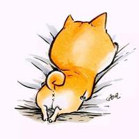 爆炸的泰迪熊头像