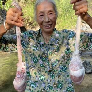 我和奶奶的大山生活头像