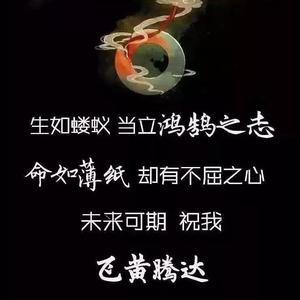哥们传媒头像