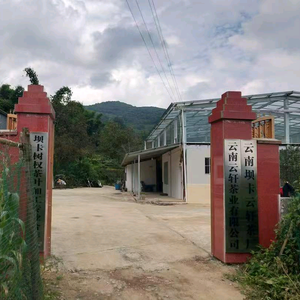 勐库普洱董茶哥头像