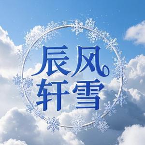 辰轩阁头像