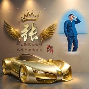 AI大掌柜头像