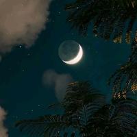 扛相机的申同学头像