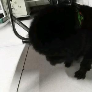 可爱的妞妞小宝贝 头像