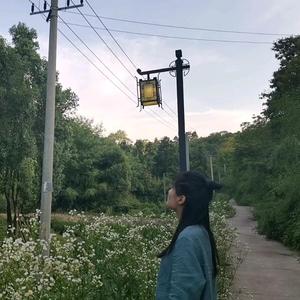 张皖秋头像