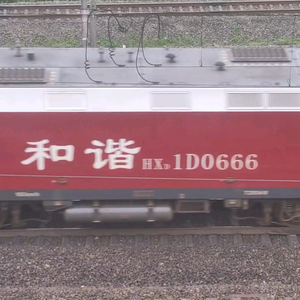 HXD1D0666头像