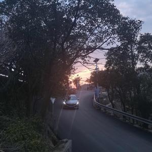 直爽胖子陈头像