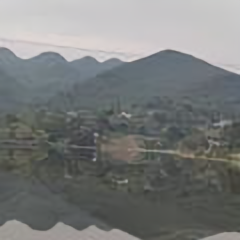 族枫头像