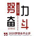 杨子谈职场头像