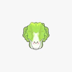 白菜娱乐头像