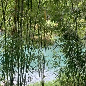 小李实事头像
