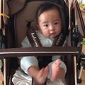 QJZK头像