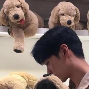 伊丹黛头像