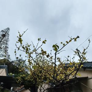 热河路体育头像