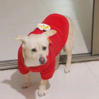 越来越瞌睡的人头像