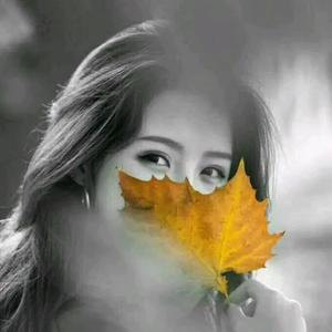 自由洮南4U2头像