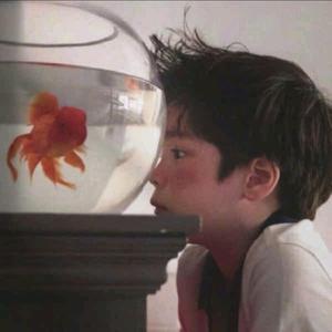 阿橙纪录片头像