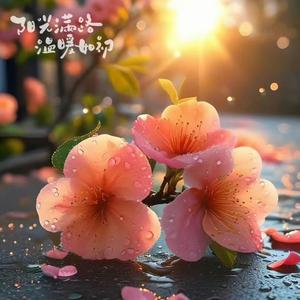 甘小美头像