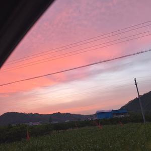 老四川私房菜头像