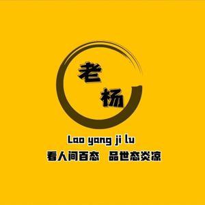 老杨的纪实 头像