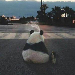 六十米深蓝头像