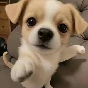 怎么会这样头像