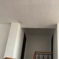 阿金具体见头像