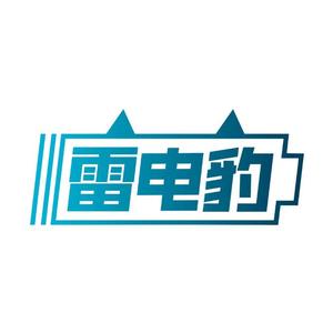 雷电豹汽车应急启动电源工厂店头像