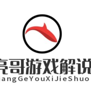 亮哥游戏解说头像