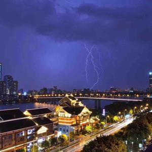 掌尚名猪头像