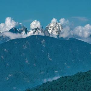 每日历史分享 头像