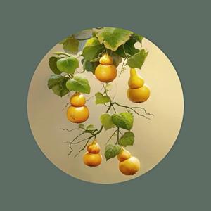 王占刚管综老师头像