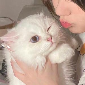 小禾睡不醒798头像
