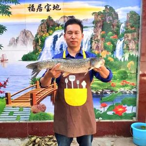 磊哥美食头像