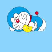 小小志的星越L头像