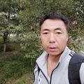 直言不讳w头像