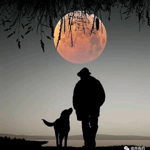 瓦西里爷爷头像