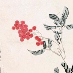 于清扬头像
